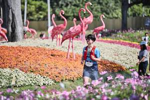 BIB: 
                            <button type="button" onclick="openModal(27793107)" class="btn btn-primary btn-sm float-right btn-popup" data-toggle="modal" data-target=".modal-high-quality">
                        <i class="fas fa-shopping-cart"></i> Add to Cart
                    </button>
                                            <button type="button" onclick="isThisMe(27793107, true)" class="btn btn-success btn-sm float-right btn-popup btn-isme hidden" data-toggle="tooltip" data-placement="bottom" title="นี่คือรูปของคุณใช่ไหม คลิกที่นี่เพื่อเอาเข้าอัลบั้ม">
                        <i class="fas fa-plus"></i> Add to album
                    </button>
                    <button type="button" onclick="isThisMe(27793107, false)" class="btn btn-warning btn-sm float-right btn-popup btn-isnotme hidden">
                        <i class="fas fa-ban"></i> Remove from album
                    </button>